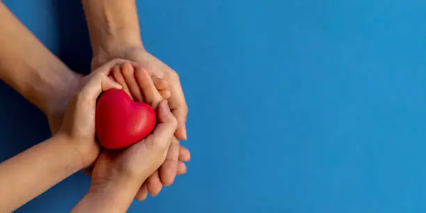 hands holding red heart. concept of heart health, donation, world heart day, world health day, family day, wellness, hope and gratitude.