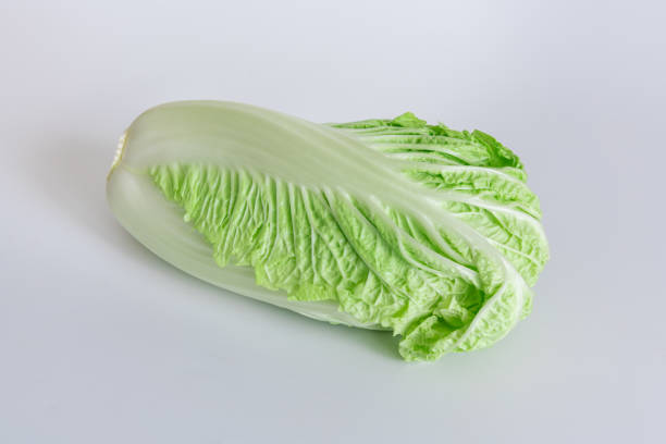 kapusta pekińska - head cabbage zdjęcia i obrazy z banku zdjęć