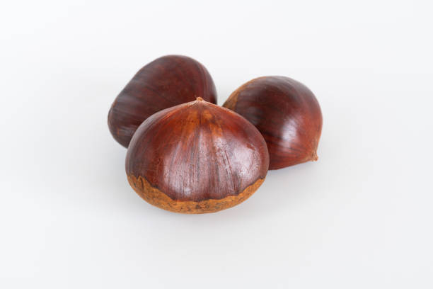 istock Fresh sweet chestnuts. Roasted chestnuts. On white background 1351751499