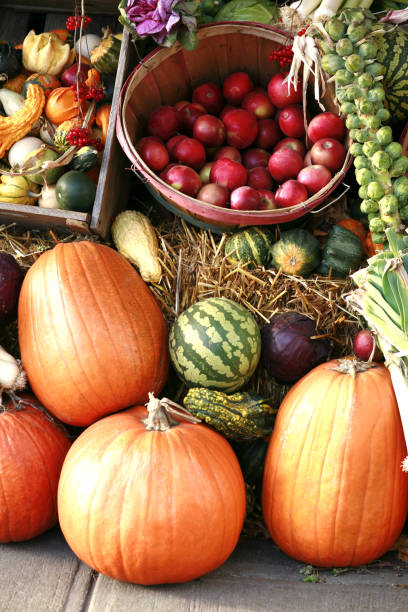 istock Pumpkins in wooden crates. 1351751653