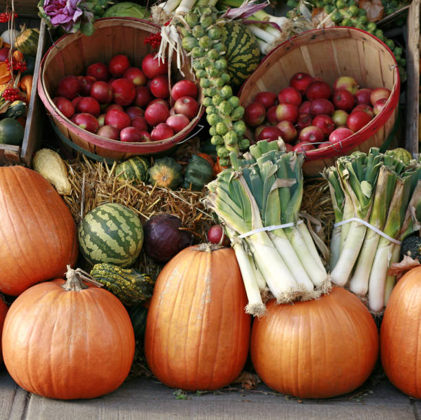 istock Pumpkins in wooden crates. 1351751654