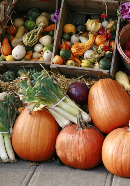 istock Pumpkins in wooden crates. 1351751659