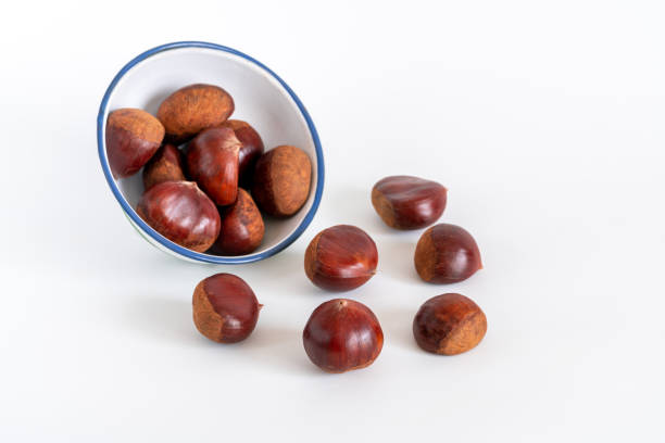 frische edelkastanien. geröstete kastanien. auf weißem hintergrund - chestnut isolated tree three objects stock-fotos und bilder