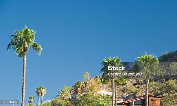 Phoenix Hillside Stock Photo - Download Image Now - Arizona, Community, Desert Area