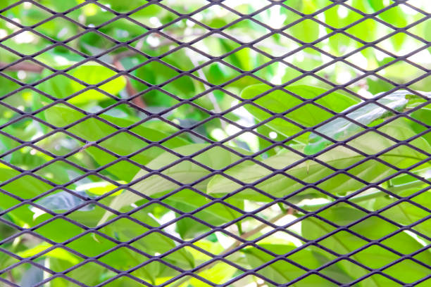 istock Steel mesh texture in seamless shaped patterns on colorful green foliage natural background 1351763947