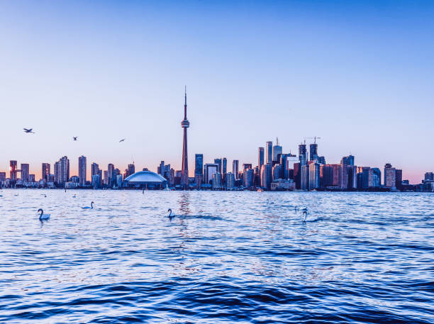 Toronto Skyline The skyline of Toronto during sunset toronto international film festival stock pictures, royalty-free photos & images