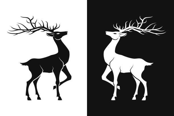 hirsch silhouette - stag deer doe cartoon stock-grafiken, -clipart, -cartoons und -symbole