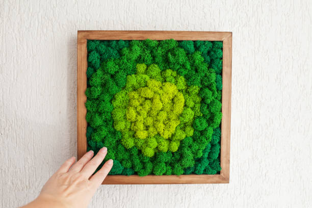 istock Stabilized multicolored Icelandic moss in the interior. Panel of green moss on the wall. Wall decoration with moss. Green moss texture in wooden frame, backdround 1351785717