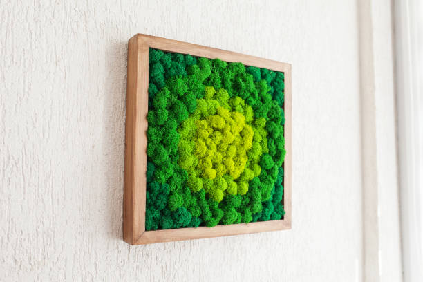 istock Stabilized multicolored Icelandic moss in the interior. Panel of green moss on the wall. Wall decoration with moss. Green moss texture in wooden frame, backdround 1351785719