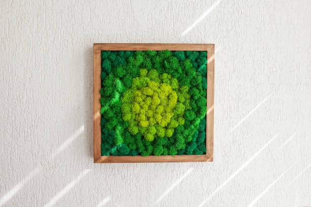 istock Stabilized multicolored Icelandic moss in the interior. Panel of green moss on the wall. Wall decoration with moss. Green moss texture in wooden frame, backdround 1351785720