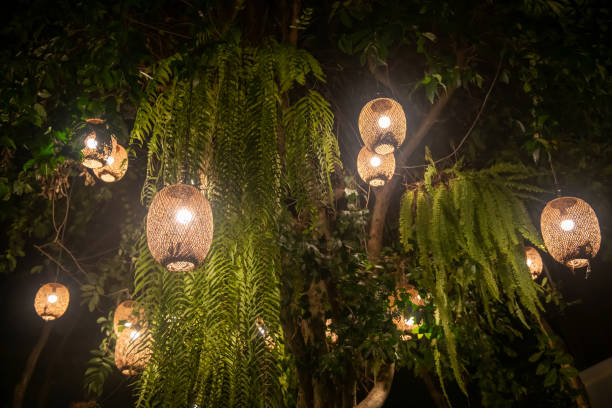 istock weave rattan light bulbs hanging on big trees 1351786996