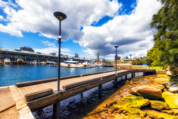 istock Syd Woolloomooloo marina 1351787853