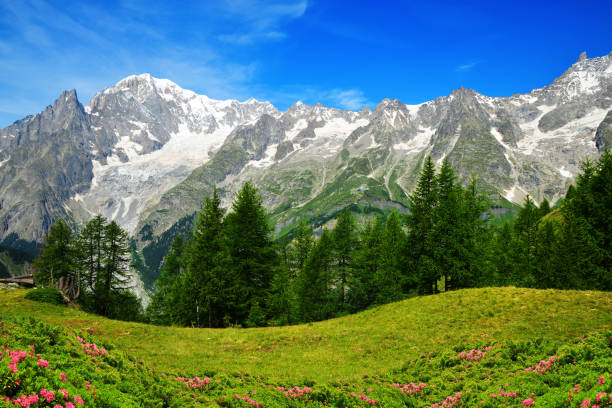 vista no mont blanc (monte bianco), vale de aosta, itália. - courmayeur european alps mont blanc mountain - fotografias e filmes do acervo