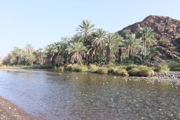 istock Hiking in Oman 1351793333
