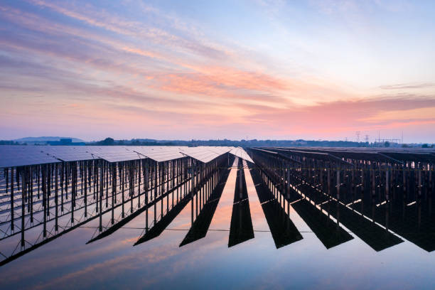 istock Pool and solar power station 1351794198