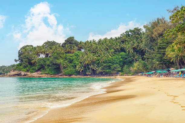 istock Phuket island landscape in the daytime 1351794428