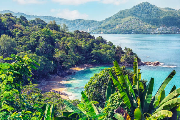 istock Phuket island landscape in the daytime 1351794431