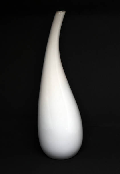 istock White flower vase isolated on black background 1351799318