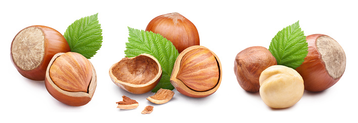 Collection of delicious hazelnuts, isolated on white background