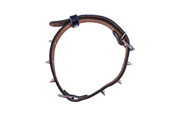 istock Black leather dog collar isolated on a white background 1351802020
