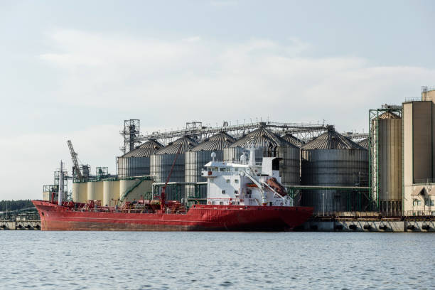 istock cargo ship and grain storage silos on the river bank 1351805444