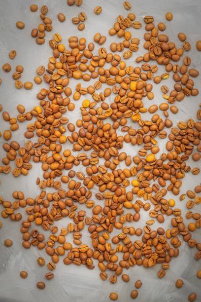 istock The vertical image shows the image of roasted Arabica coffee beans, which lie in a chaotic order 1351807129