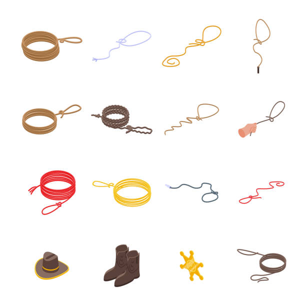 Lasso icons set. Lasso icons set. Isometric set of lasso vector icons for web design isolated on white background hangmans noose stock illustrations