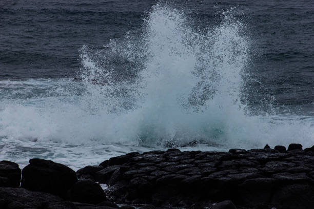istock Big wave at jeju beach 1351808411