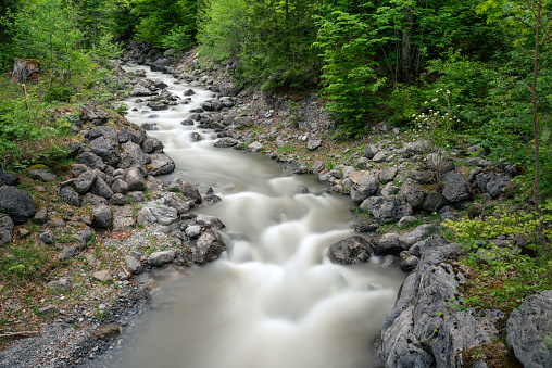 view of the stream framed by a forest. the long exposure makes the water appear soft and smooth. cheselenbach creek, near Melchsee-Frutt Kerns, canton of obwalden, Switzerland