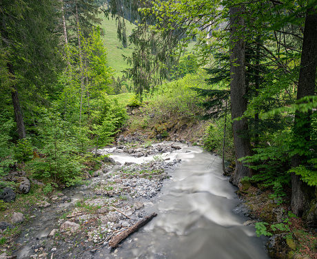 view of the stream framed by a forest. the long exposure makes the water appear soft and smooth. cheselenbach creek, near Melchsee-Frutt Kerns, canton of obwalden, Switzerland