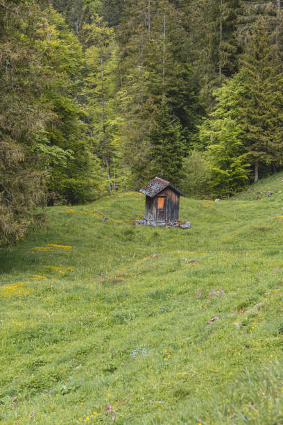 istock a small wooden hut in a meadow surrounded by forest 1351810542