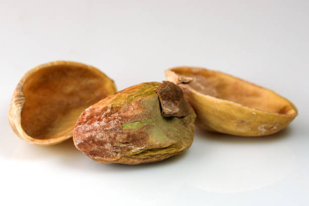 istock Toasted salted pistachio nuts 1351810963
