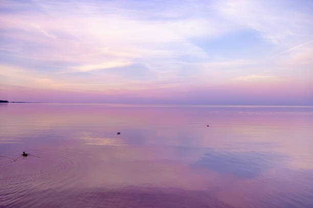istock Sky background on sunset, colorful clouds. Nature abstract composition with reflections on sea water. Nature environment. 1351812954