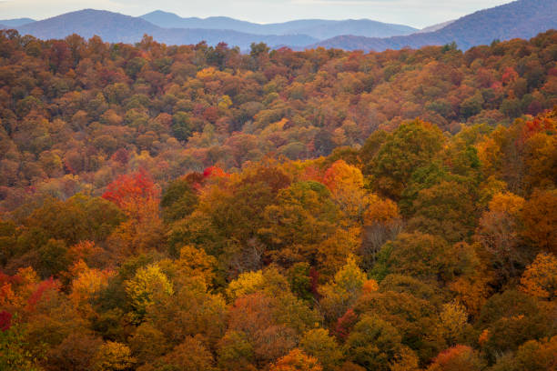 istock Autumn at Jenkins Ridge Overlook 1351814373