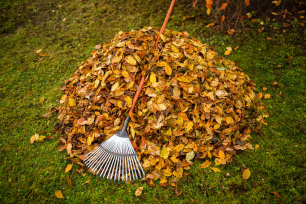 Pile of leaves with rake stock photo