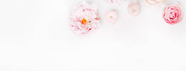 istock postcard layout and flowers on a white background 1351815810