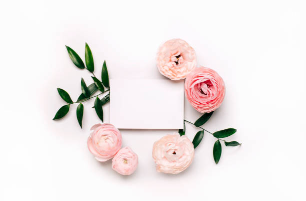 istock postcard layout and flowers on a white background 1351815815