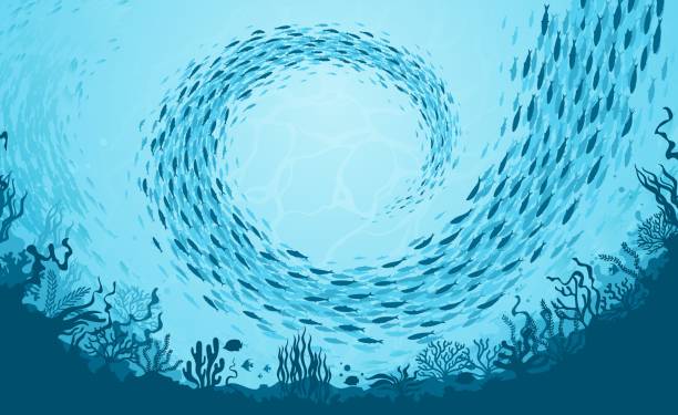 ilustrações de stock, clip art, desenhos animados e ícones de fish school, underwater seabed landscape, shoal - tuna silhouette fish saltwater fish