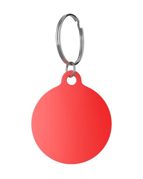 istock Blank Cat Dog Id Tag Name Pendant  Necklace Collar Mockup. 1351817636