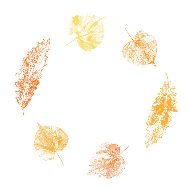 Leaf imprint round frame.Hand-made gouache prints on paper. Paint impressions, stamps. Autumn decor for your design. Made using frottage technique. Isolated.Vector illustration aspen leaf stock illustrations