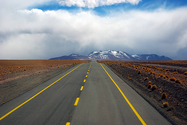 istock On the road to Atacama 135182118