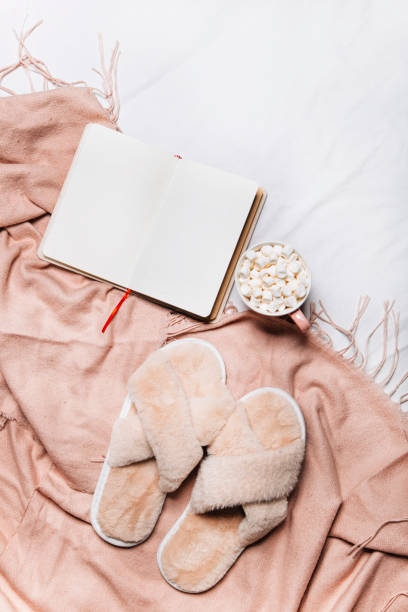 istock cozy at home, plaid, cocoa, slippers, notepad 1351824521