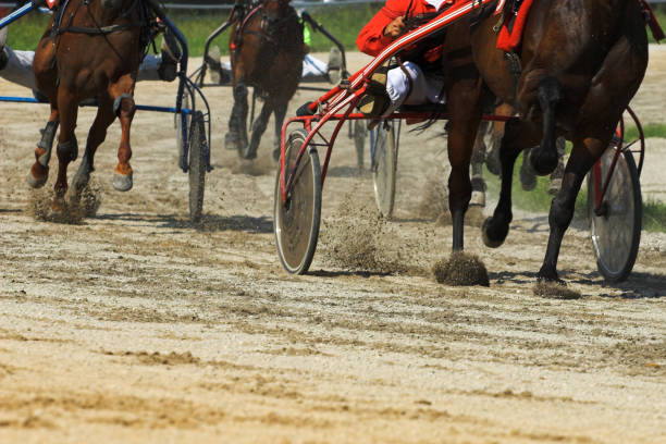 istock Harness horse Racing 135182470