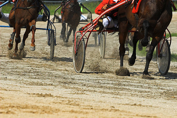 Harness horse Racing stock photo