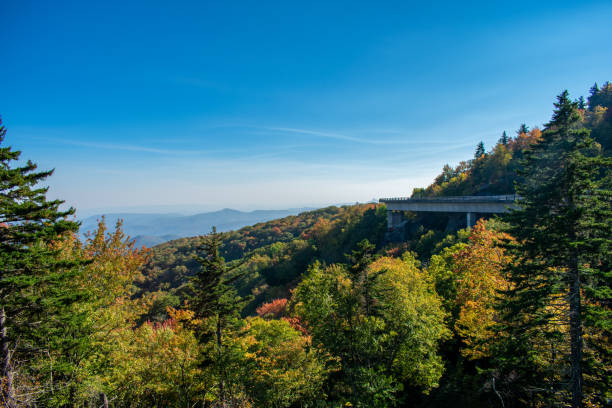 istock Linn Cove Viaduct 1351827203