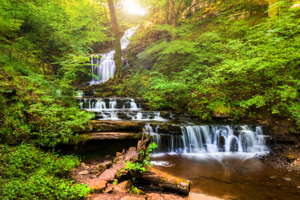 водопад скальбер форс в северном йоркшире - yorkshire dales стоковые фото и изображения