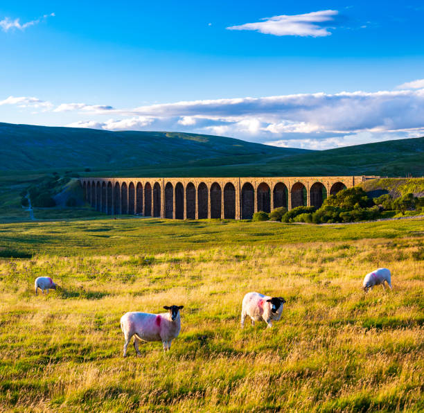 Ribblehead viaduct in North Yorkshire at sunset stock photo