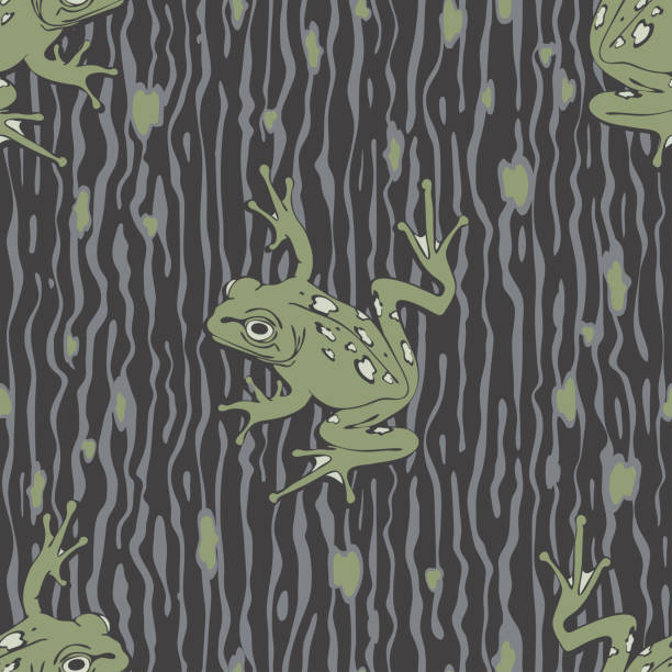 Tree Frog Pattern Texture 300+ Tree Frogs Backgrounds Stock Illustrations, Royalty-Free Vector ...