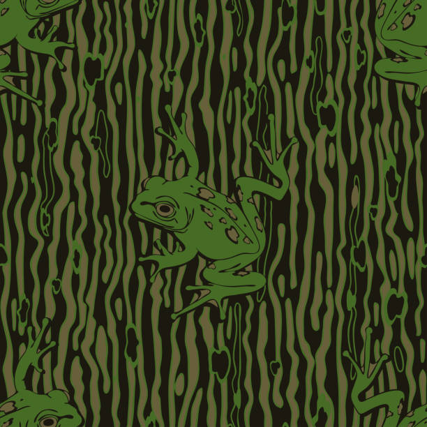 Tree Frog Pattern Texture 300+ Tree Frog Background Stock Illustrations, Royalty-Free Vector ...