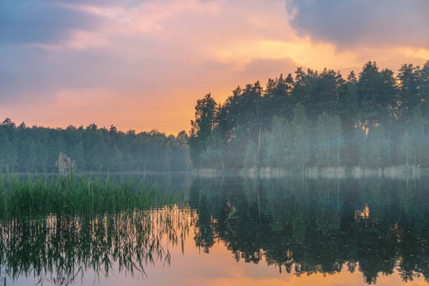 istock Sunset near the summer lake 1351830934